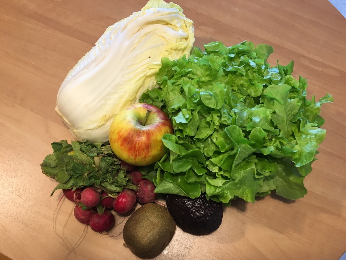 Хозяйка с базара домой принесла