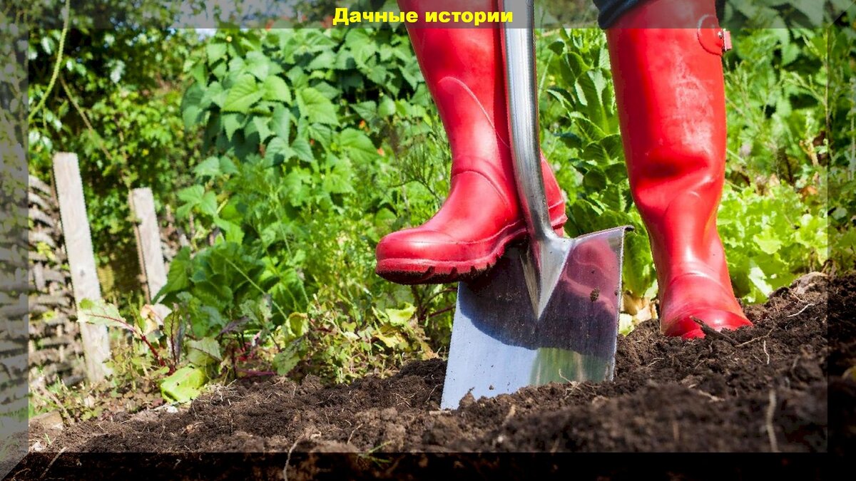  https://vk.com/photo-159774511_457242710