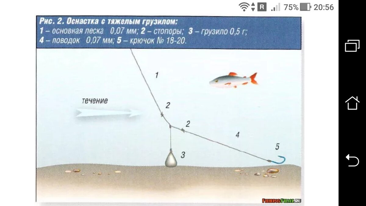 Ловля на мормышку с поплавком: универсальная снасть для мирной рыбы зимой | Аккумы Инфо