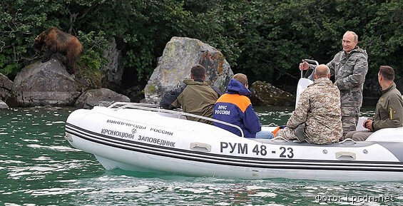 3 фото. Источник Яндекс картинки.