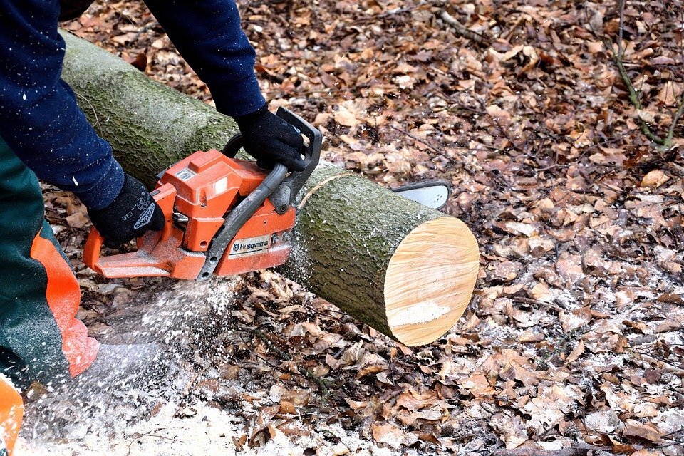 cdn.pixabay.com/photo/2017/03/15/15/26/lumberjack-2146509_960_720.jpg