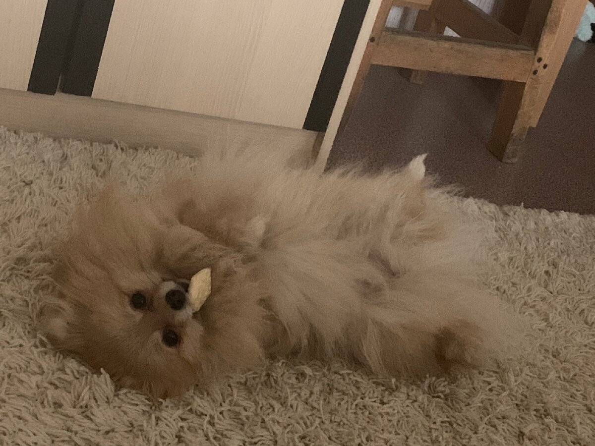 Вам в ленту