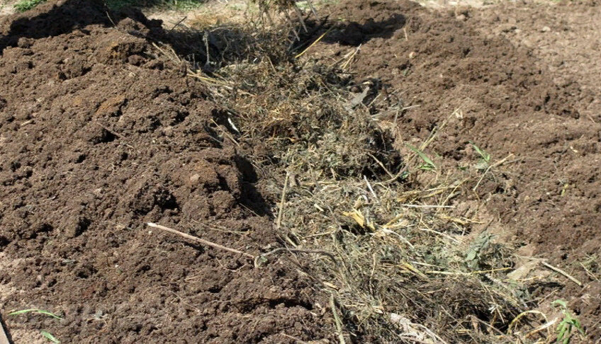 Если почва на участке тяжелая и глинистая: Как сделать ее богатой, рыхлой и плодородной