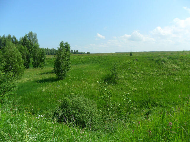 Родные просторы. 