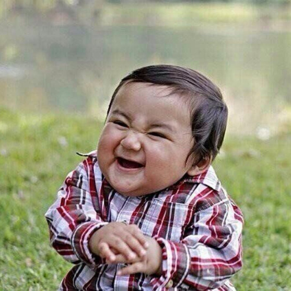 Фото взято из открытых источников