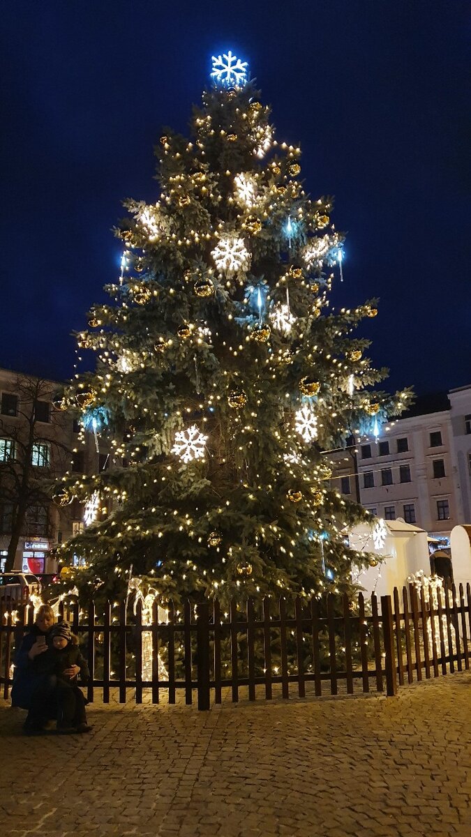 Елка на площади в Йиглаве