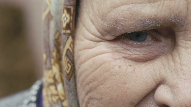 Фото с сайта videoblocks.com