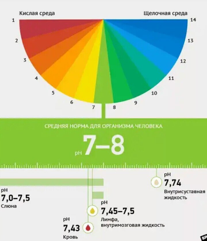 Средняя норма PH для организма 