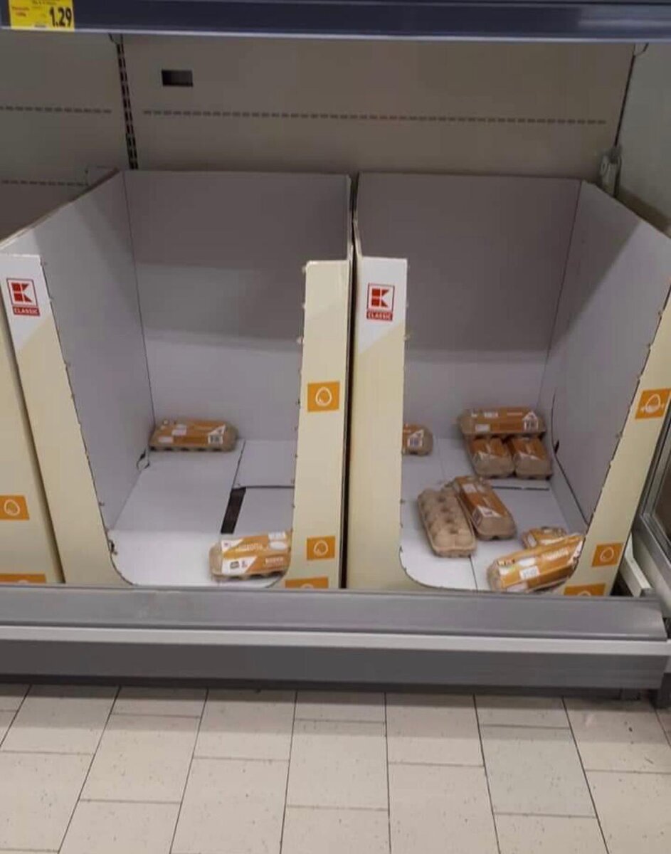 Остатки яиц, небось побитые внутри...