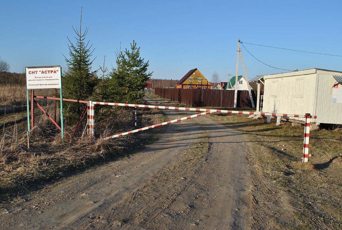 Фото взято из свободных источников