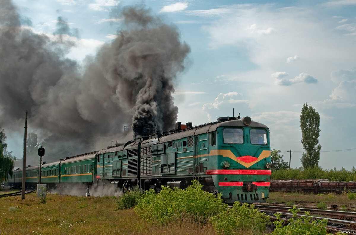 Фото из Яндекс картинок.