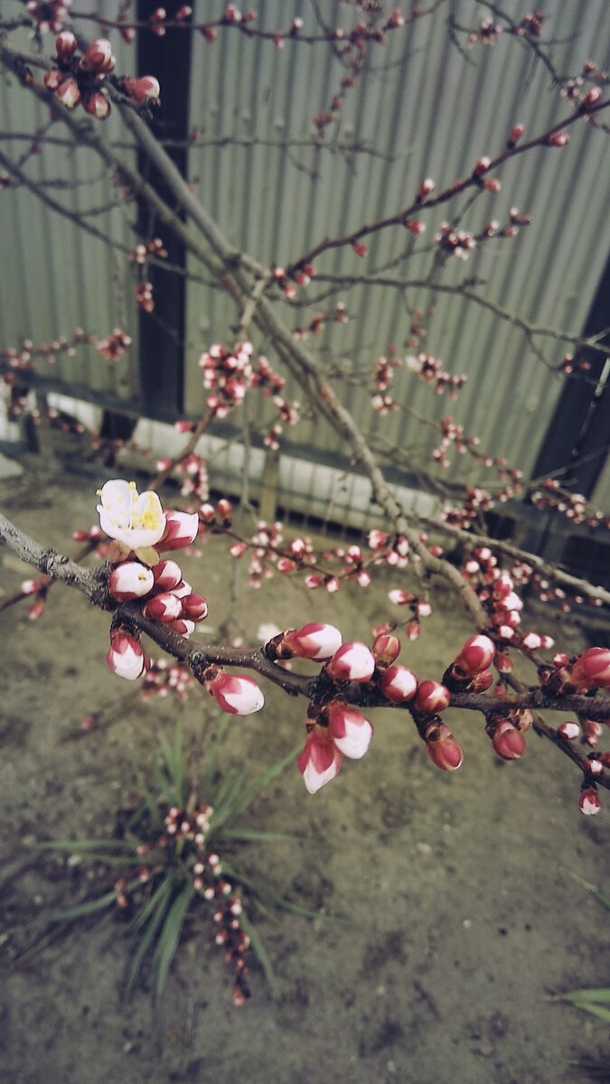 Красота повсюду, нужно только оглянуться