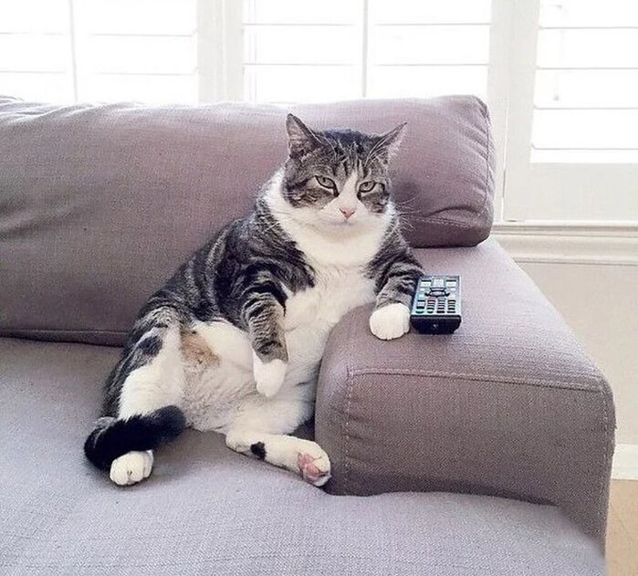 фото с сайта 123ru.net