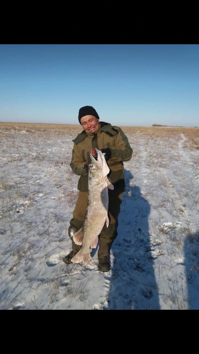 трофейный 15,4 кг товарищ поймал 