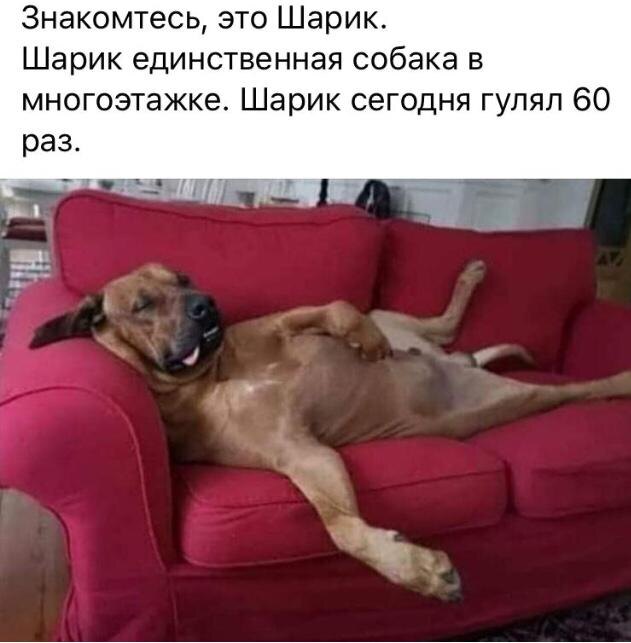 фото взято из открытых источников на яндексе. 