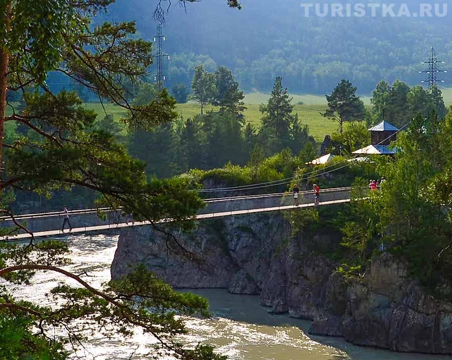 Фото из интернета 