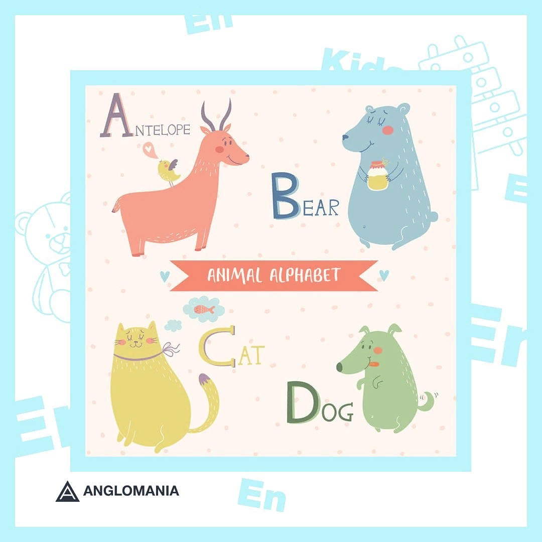 Животный алфавит, листайте карусель;)