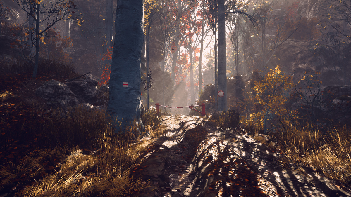 Леса Богемии.