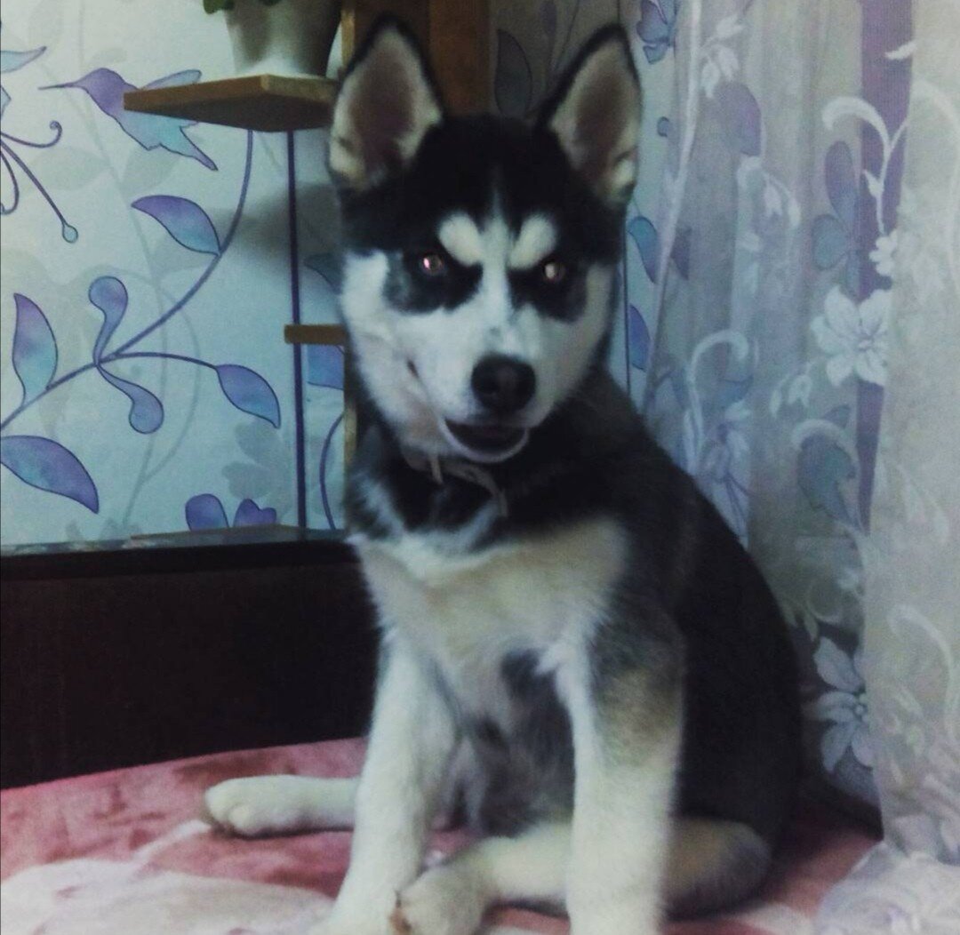 Нашла в архиве