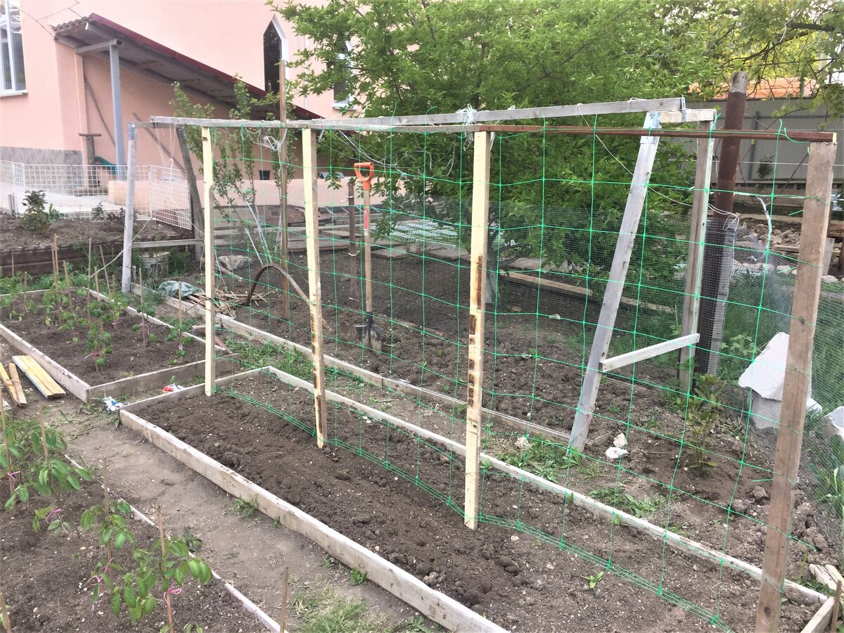 Фото из личного архива.