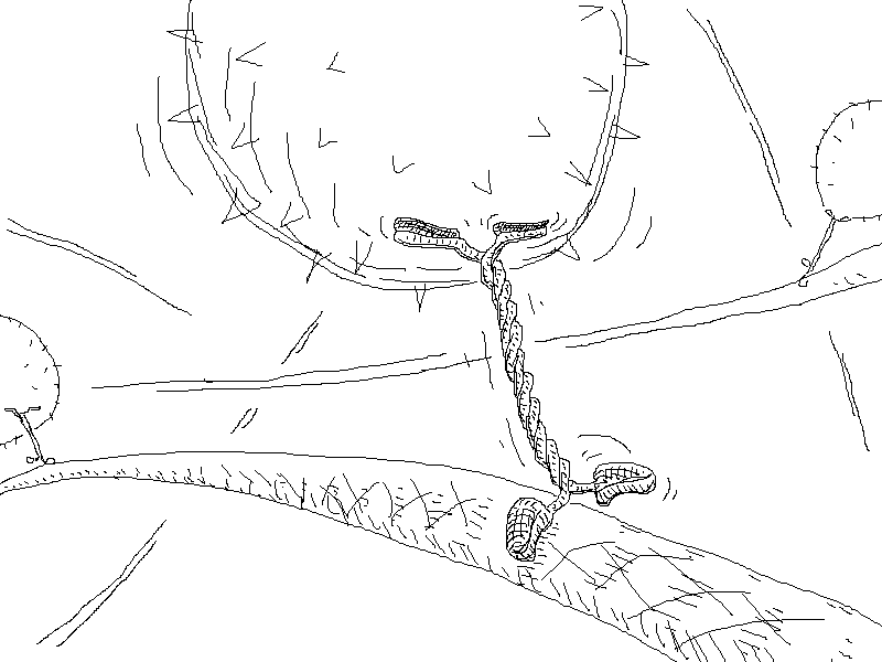 Рис. 2. Кинезин тащит по нанотрубке лизосому с нейромедиаторами. Рисунок автора