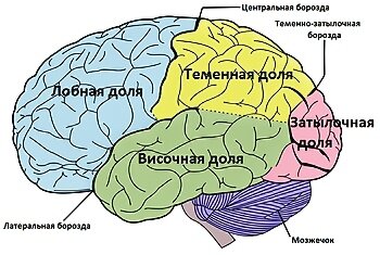 Скаченно из свободного источника