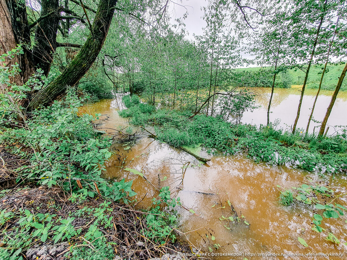 Дожди кончились, а вода осталась. Посмотрела что происходит рядом с дачей после ливней