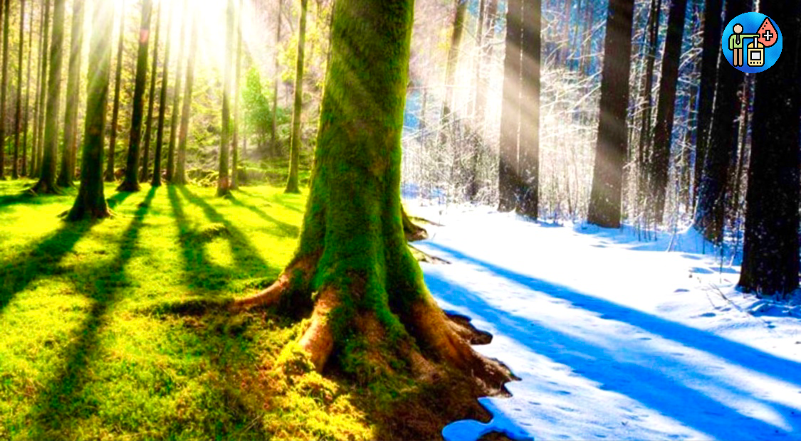 Подписывайтесь на канал и ставьте лайк 