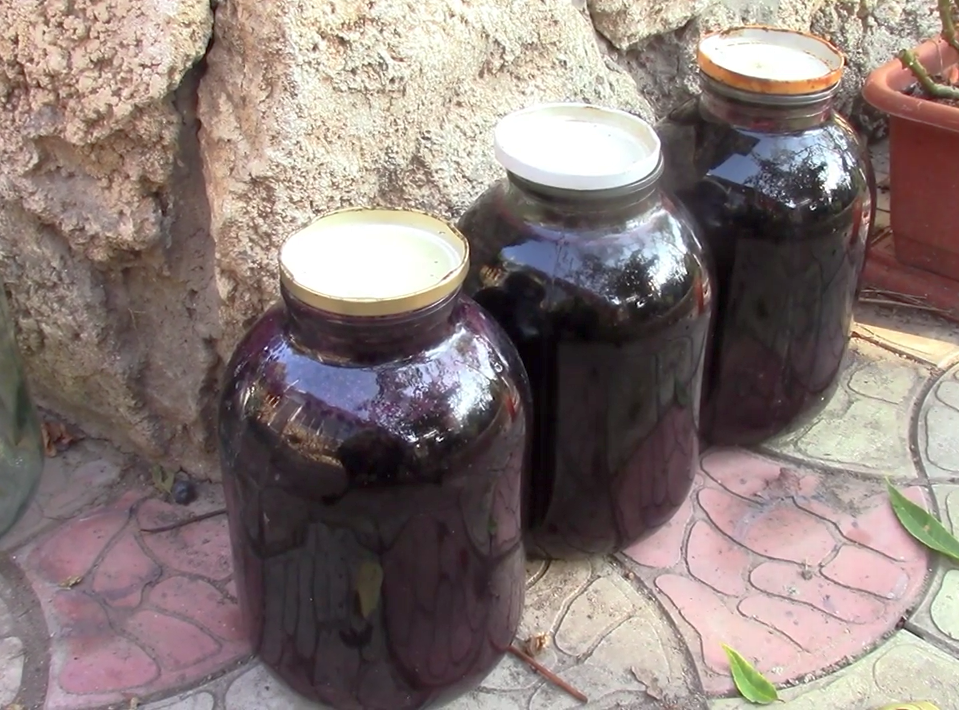 Фото сделано в 2019 г