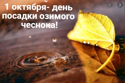 В ТОМСКОМ РАЙОНЕ !!! Западная Сибирь