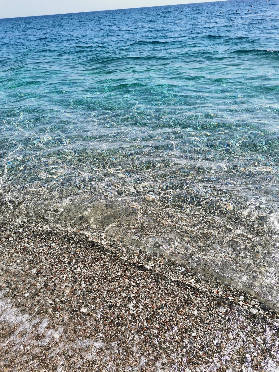 Вода в анталии на 14. Средиземное море Анталия. Вода в Средиземном море. Водоросли Средиземного моря. Водоросли на пляже Средиземного моря.