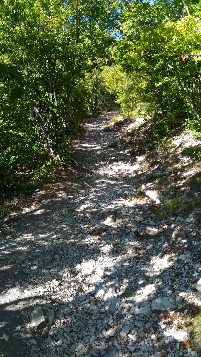 На машине мы доехали до Сафари парка. И дальше пошли пешком вверх по протоптанной дорожке.