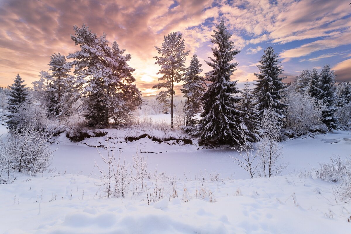 Замёрзшая река.