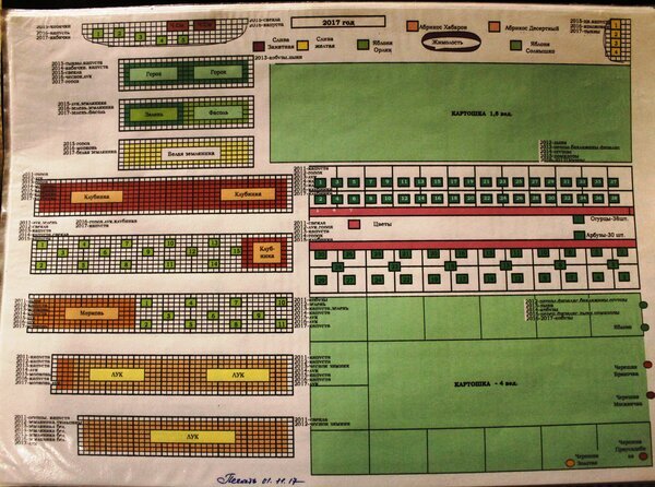  каждый год я схематично записываю, сколько и где сажала овощей