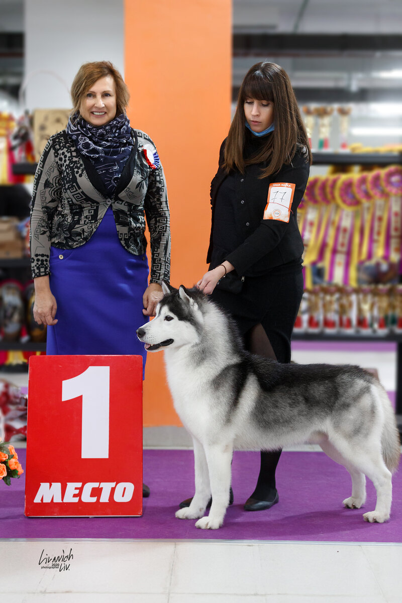 Коба выиграл все Хасячьи ринги. Лпп, ЛК. 