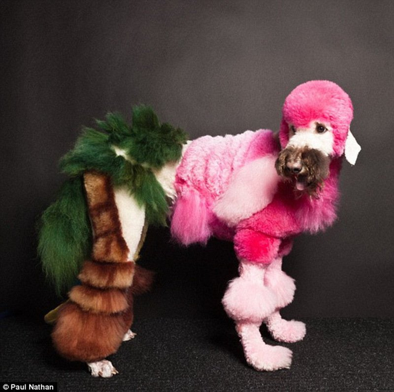 Э-э-э... Ризеншнауцер?