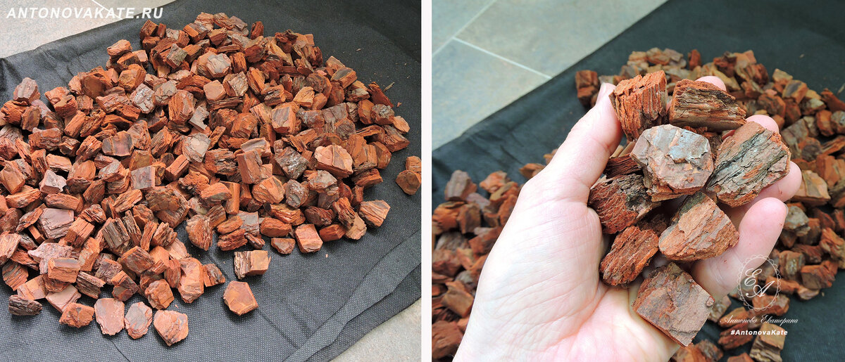 Для посадки орхидей я использую кору Карельской сосны