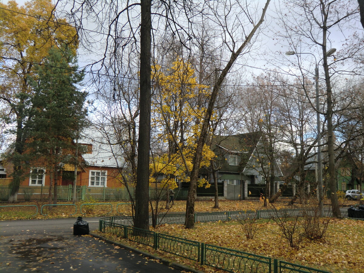 Живут ли художники в посёлке художников? Сколько Вечерняя Москва Новости