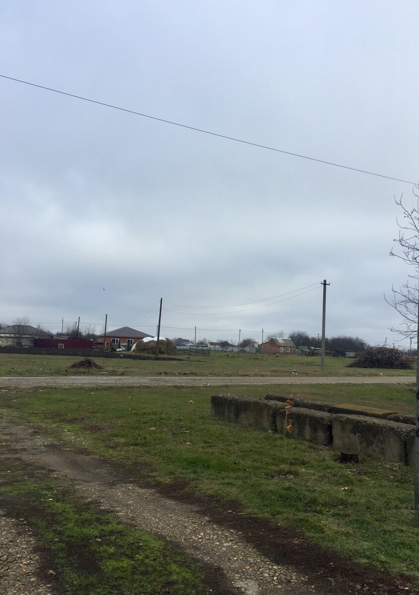 А это  за  2 дня до Нового года...