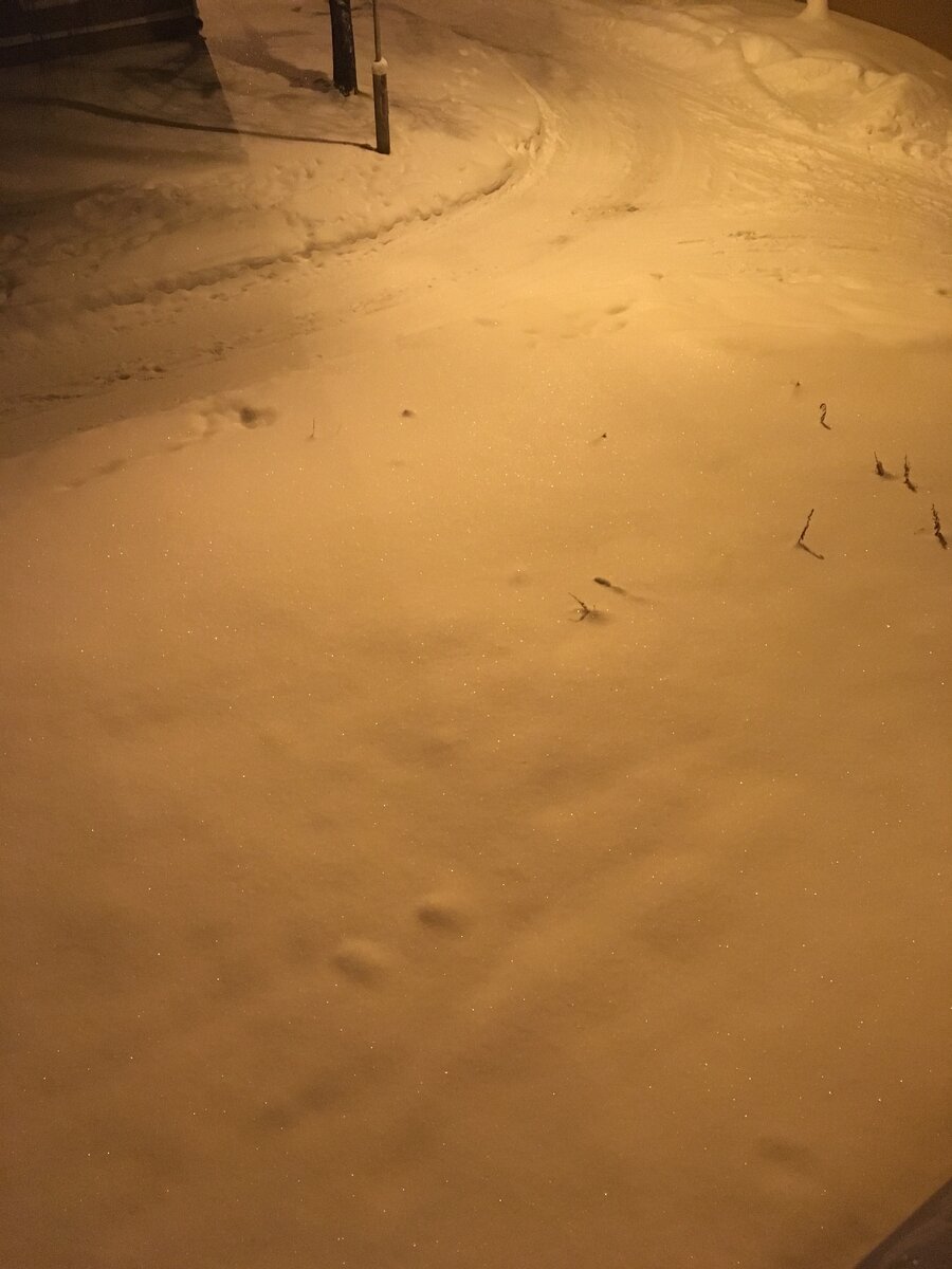 10 января 2021 года. Свердловская область. Снега вполне достаточно.