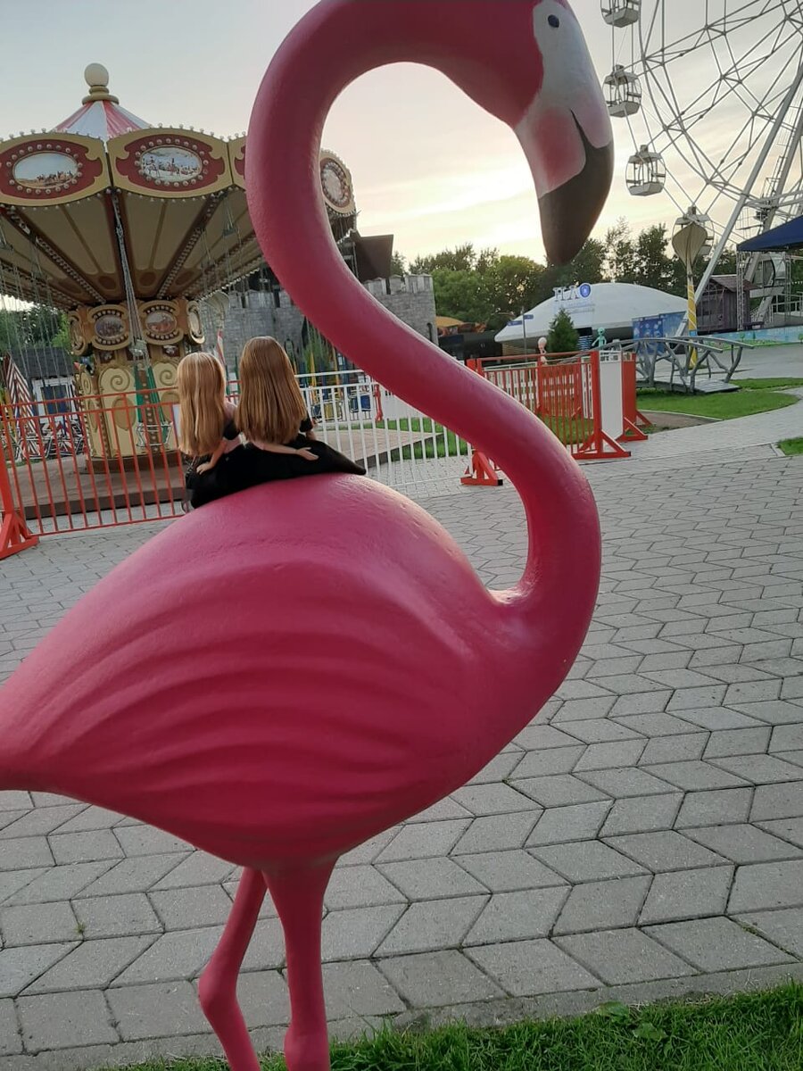 Садимся на фламинго и мечтаем)))