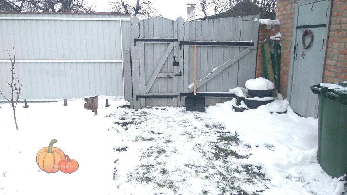 Убрал снег возле калитки и во дворе. Не ходить же по сугробам.