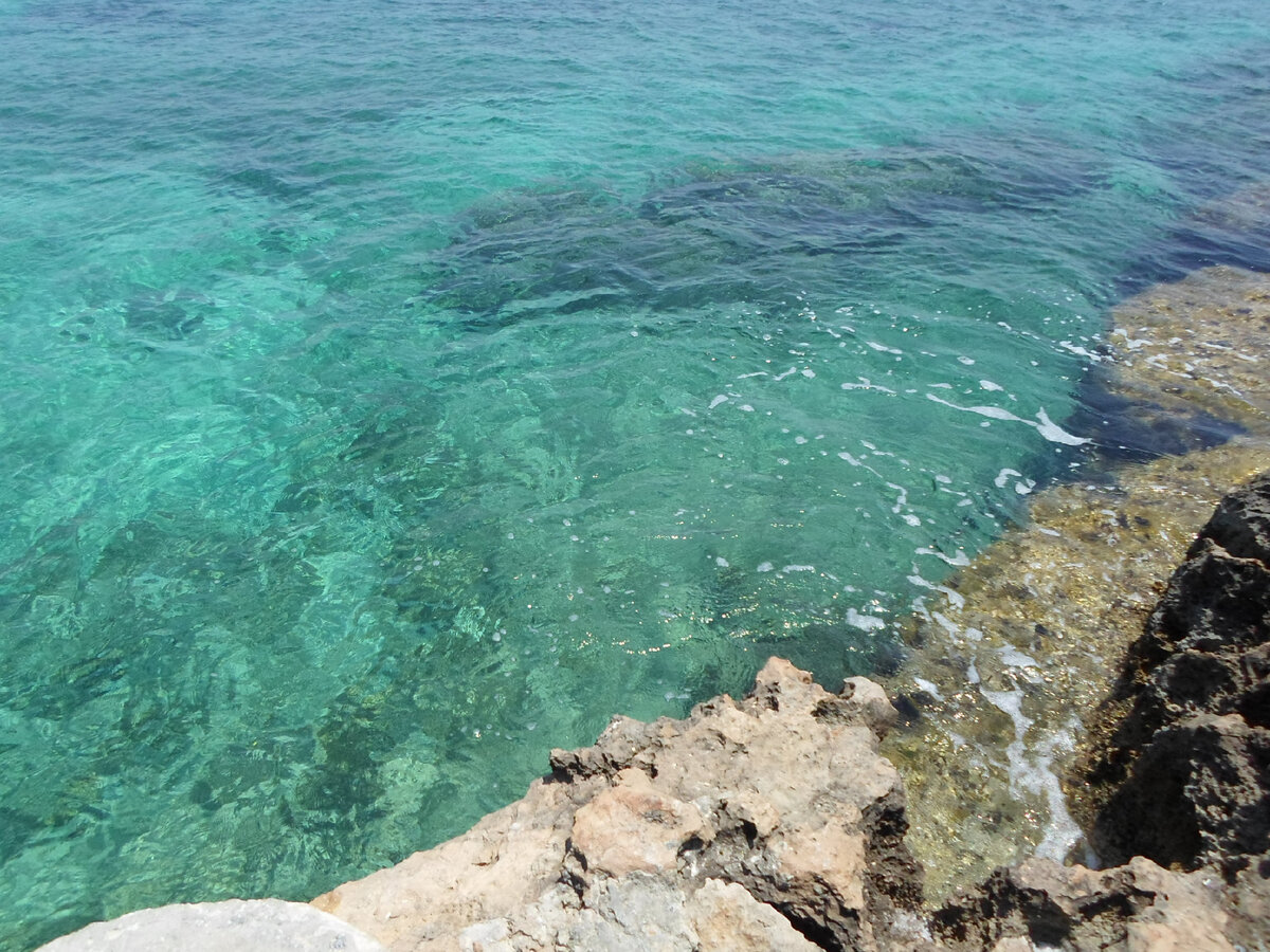 Личное фото, привезено с Кипра, как и литр морской воды