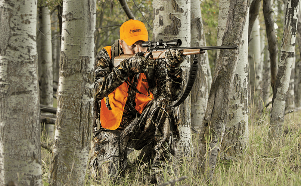 картинка из открытых источников (яндекс картинки)