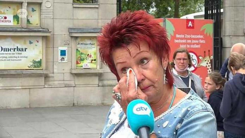 Ади Тиммерманс на интервью.