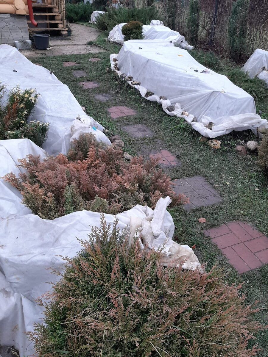 То время, когда раз в год я думаю о том, что "кой чёрт понес меня на эти галеры?"). 