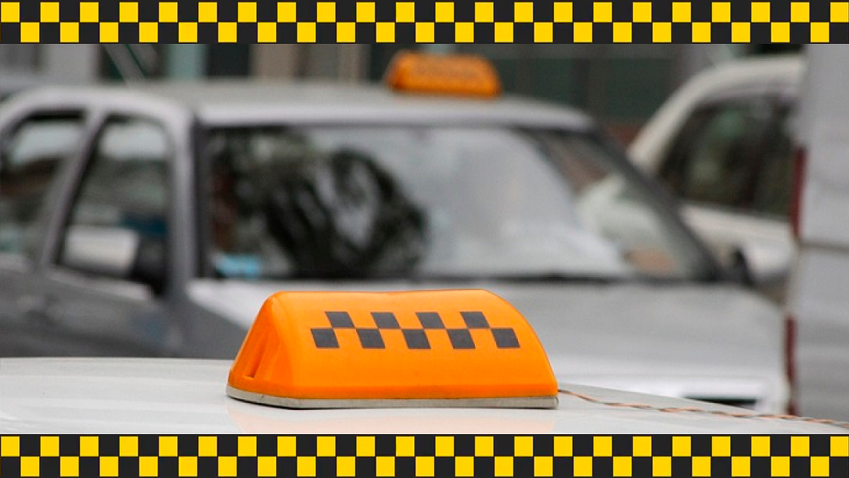 Фото взято из интернета