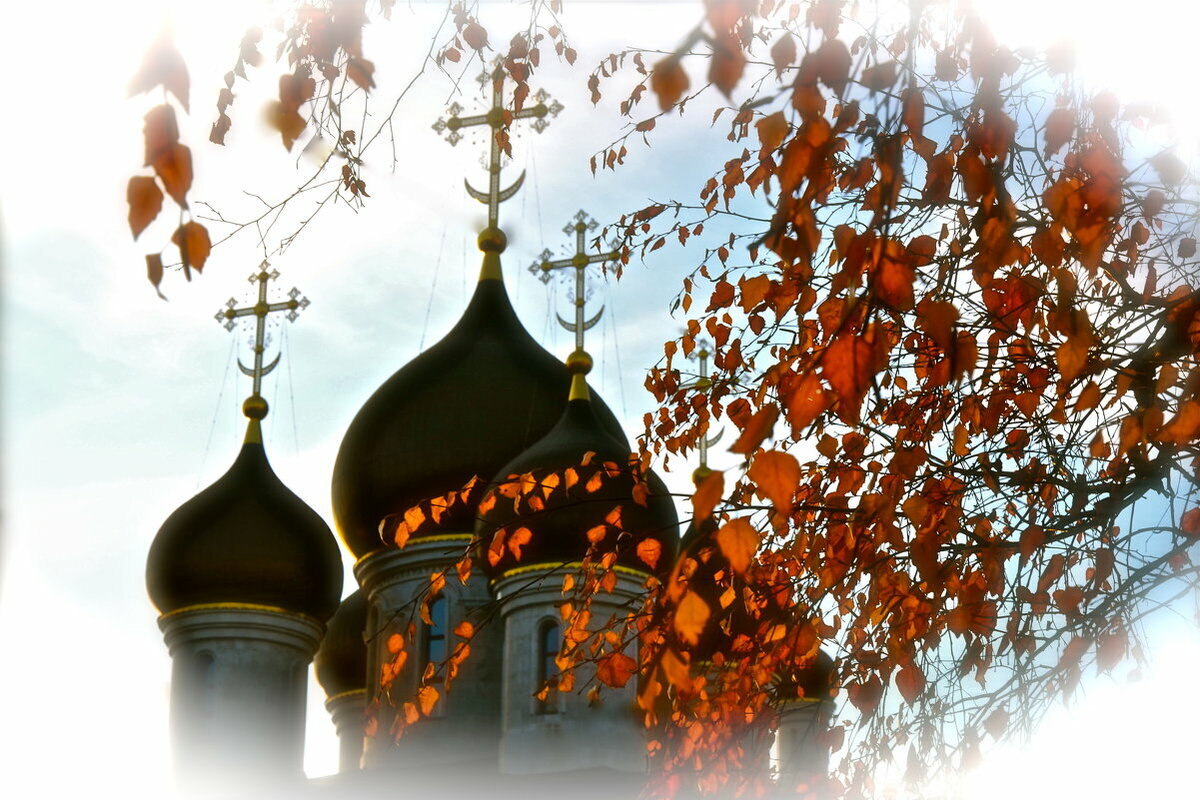 фото из инета