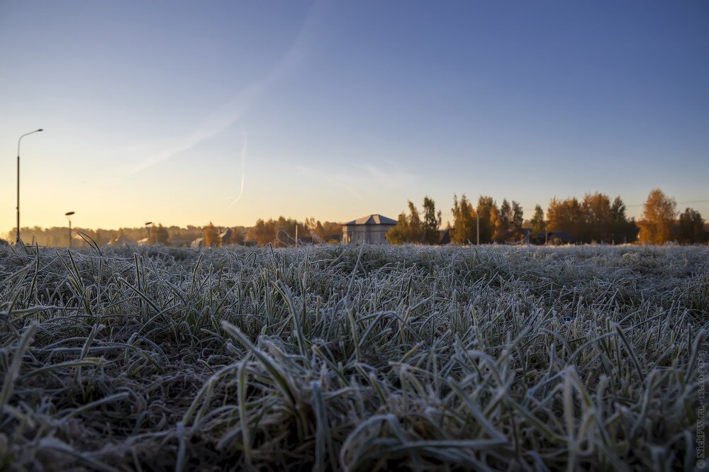 2. Зелёный газон в инее © NickFW.ru — 11.10.2021г.