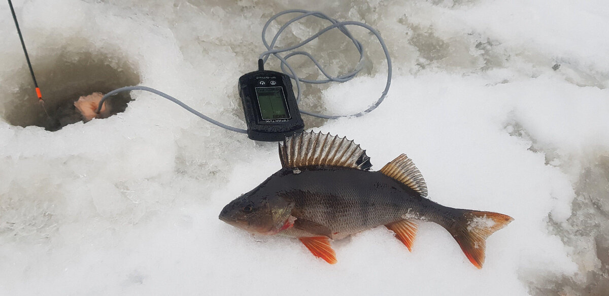 зимняя рыбалка на щуку. зимняя рыбалка 30. рыбак зимой. подледный лов рыбы. рыбаки на льду.